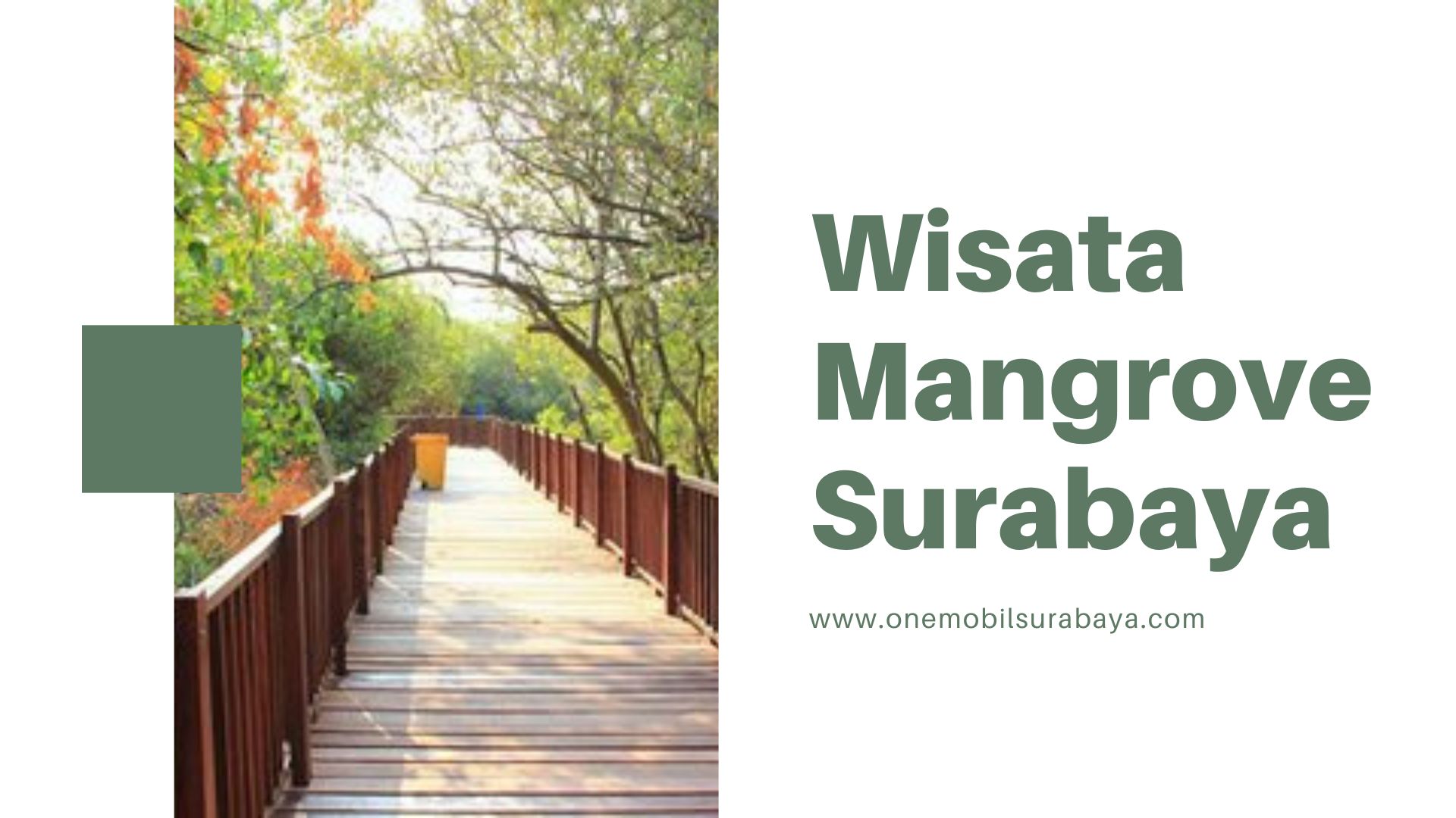 Wisata Mangrove Surabaya