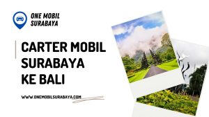 Carter Mobil Surabaya ke Bali